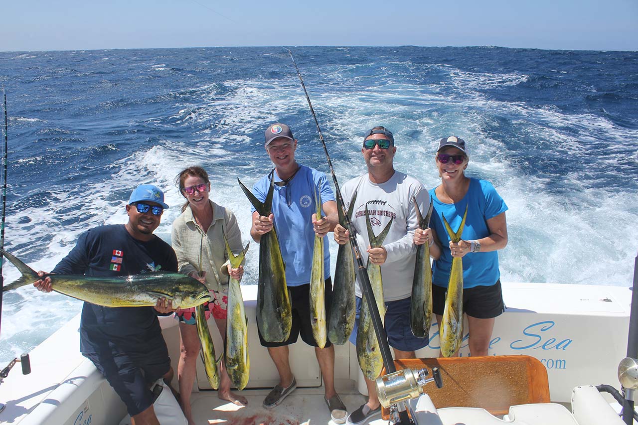 Cabo Sportfishing Calendar