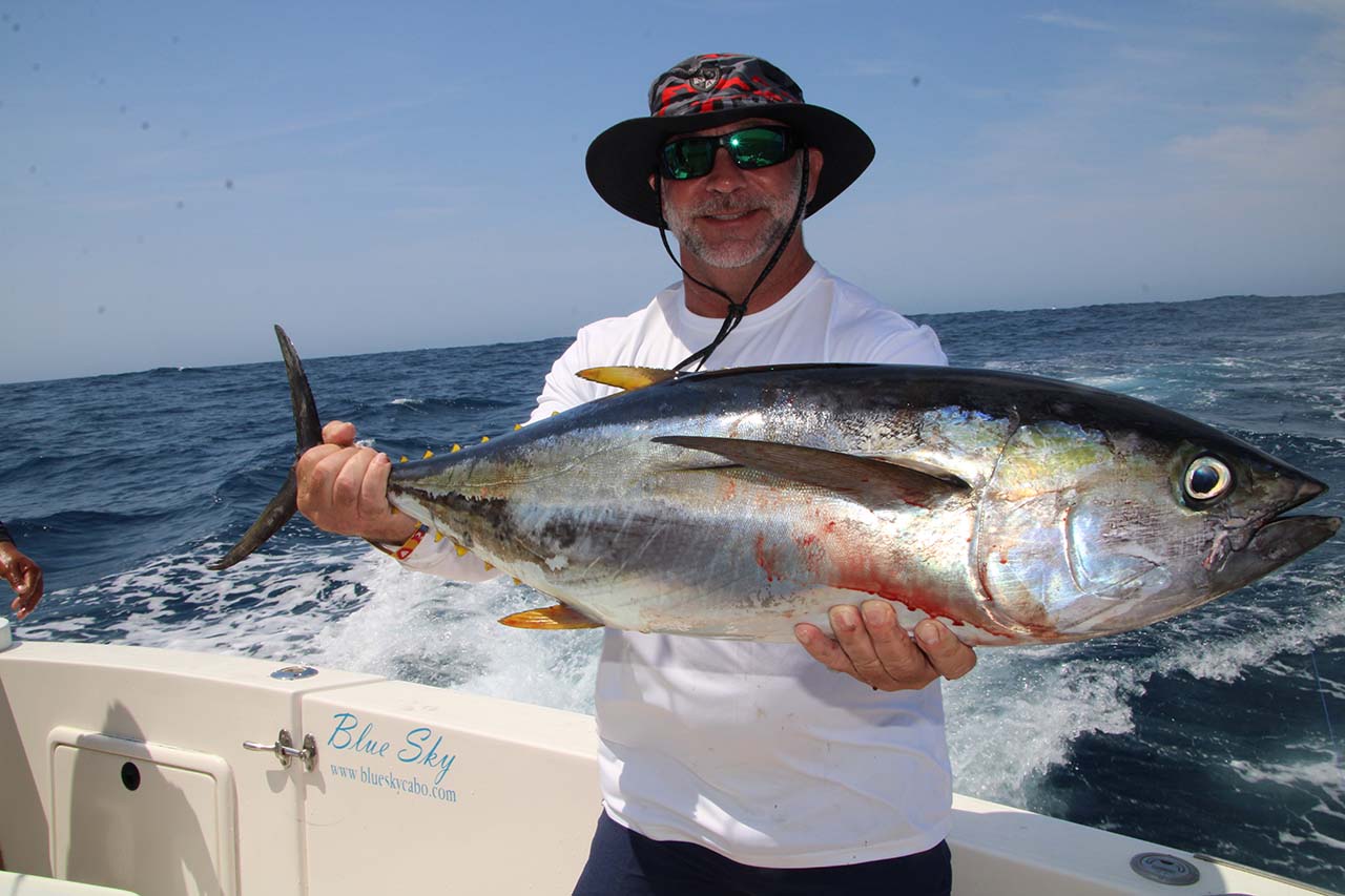 Tuna Fishing Cabo April Charter
