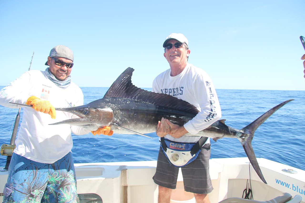 What Is The Best Time For Striped Marlin Vs. Blue Marlin In Cabo