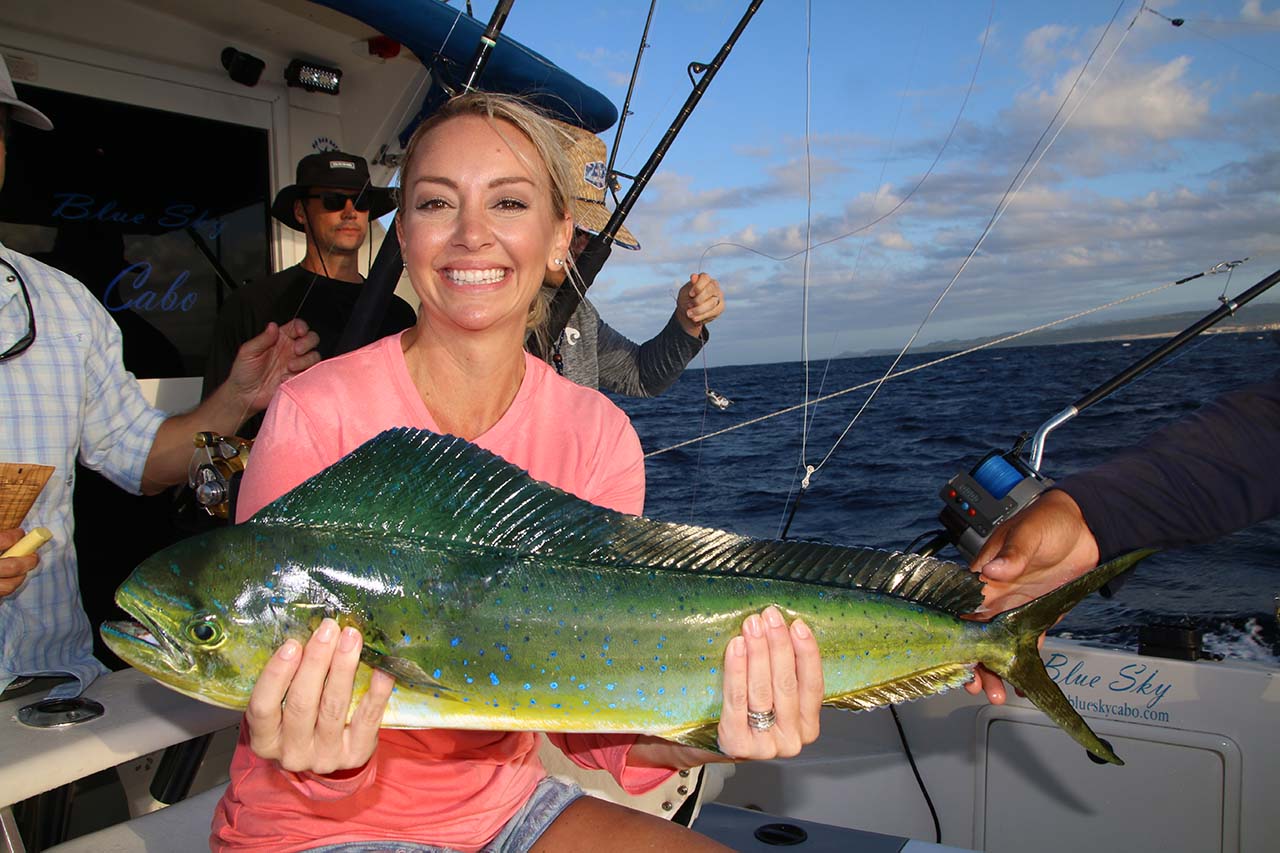 What Is The Prime Mahi-Mahi Season In Cabo San Lucas