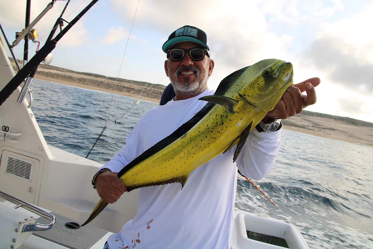 What Month Is Best for Fishing in Cabo San Lucas