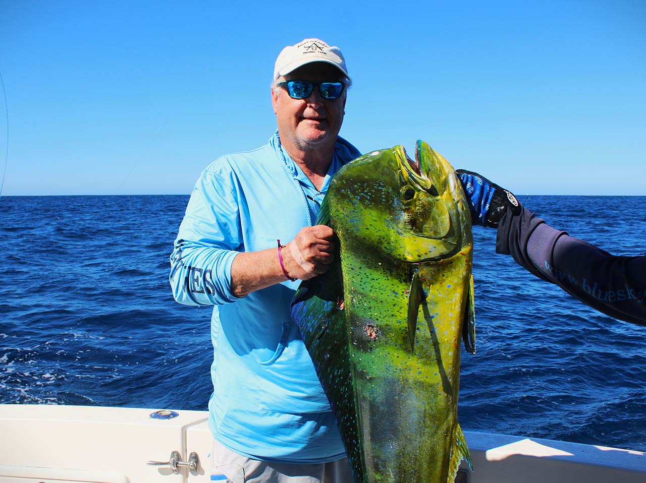 What Months Have the Biggest Fish Catches in Cabo