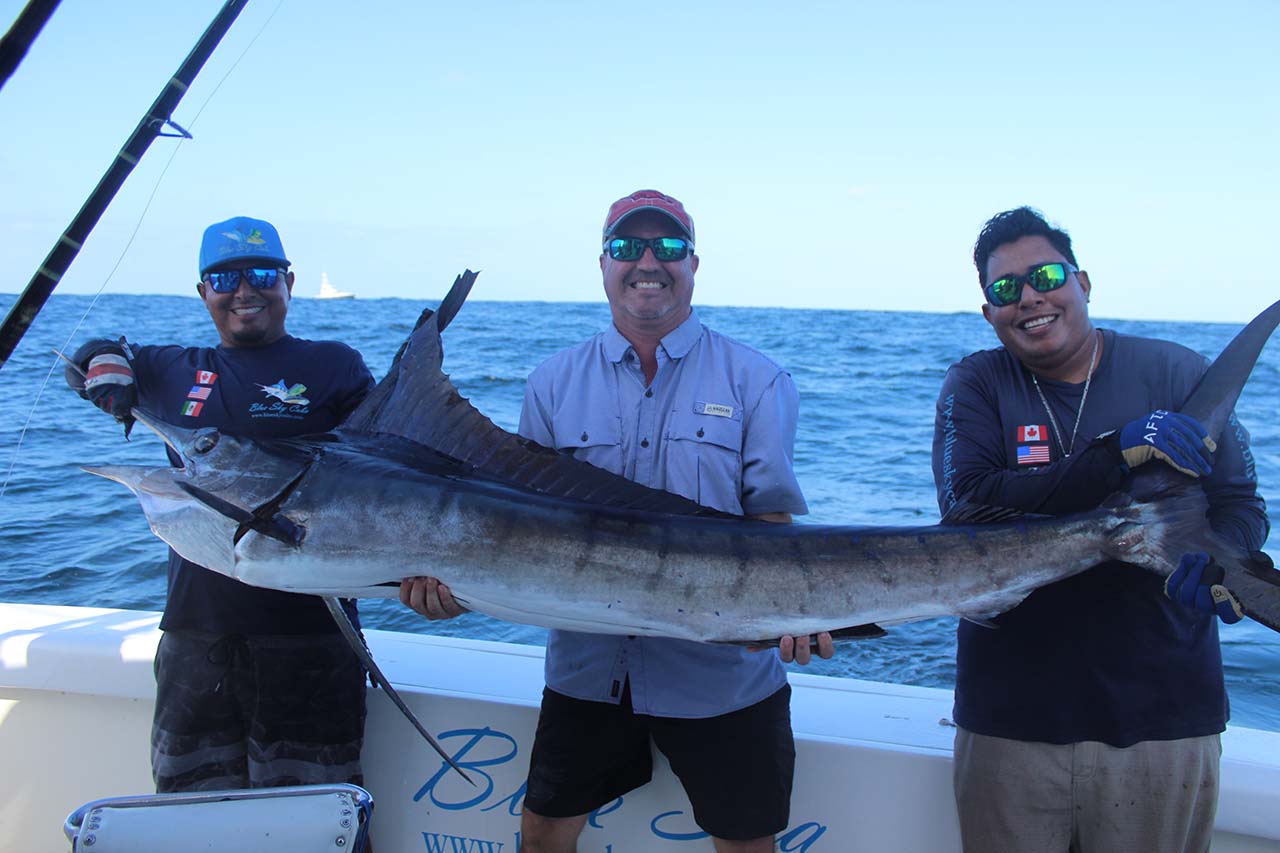 What Months Have the Biggest Fish Catches in Cabo