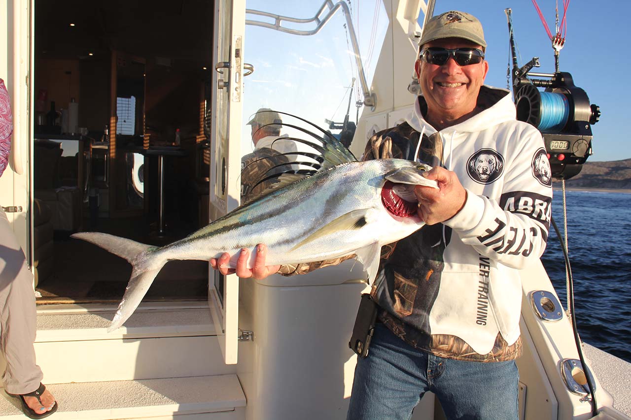 What Time Of Year Should I Come For Roosterfish In Cabo