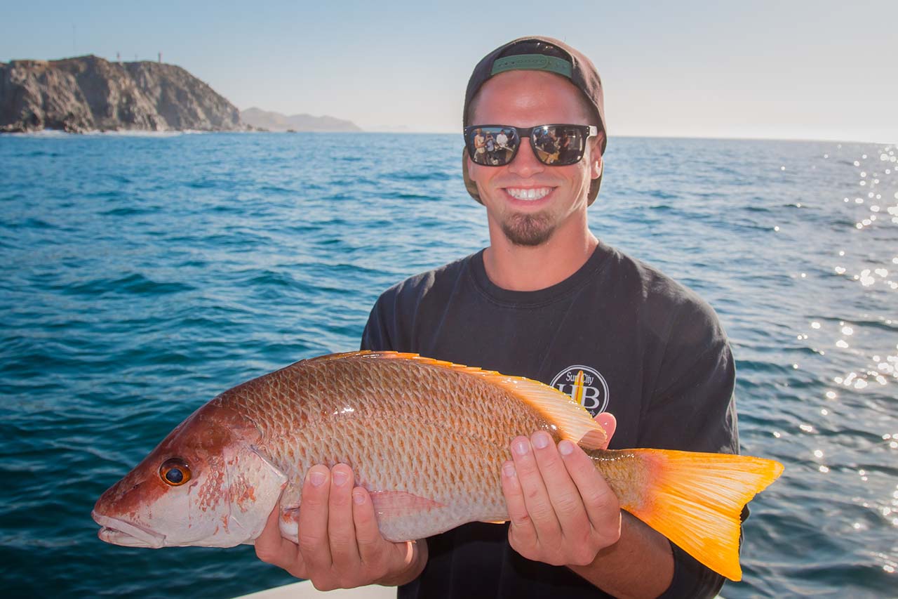 What’s the Best Time for Inshore Snapper and Grouper Fishing in Cabo