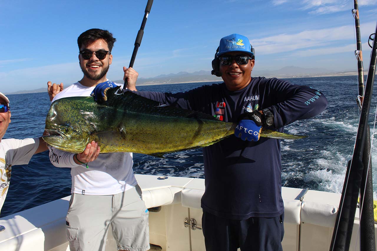 When Is Peak Dorado Season in Cabo