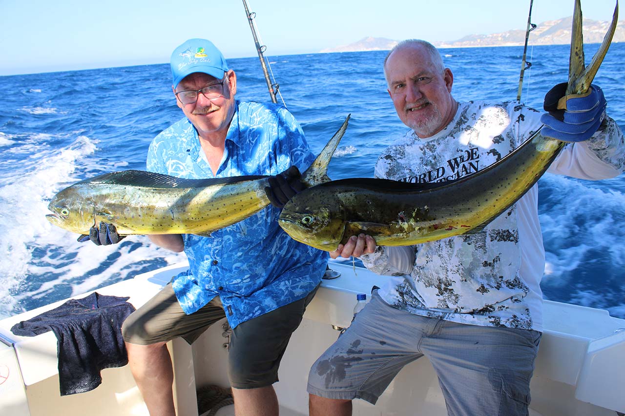 When Is Peak Dorado Season in Cabo