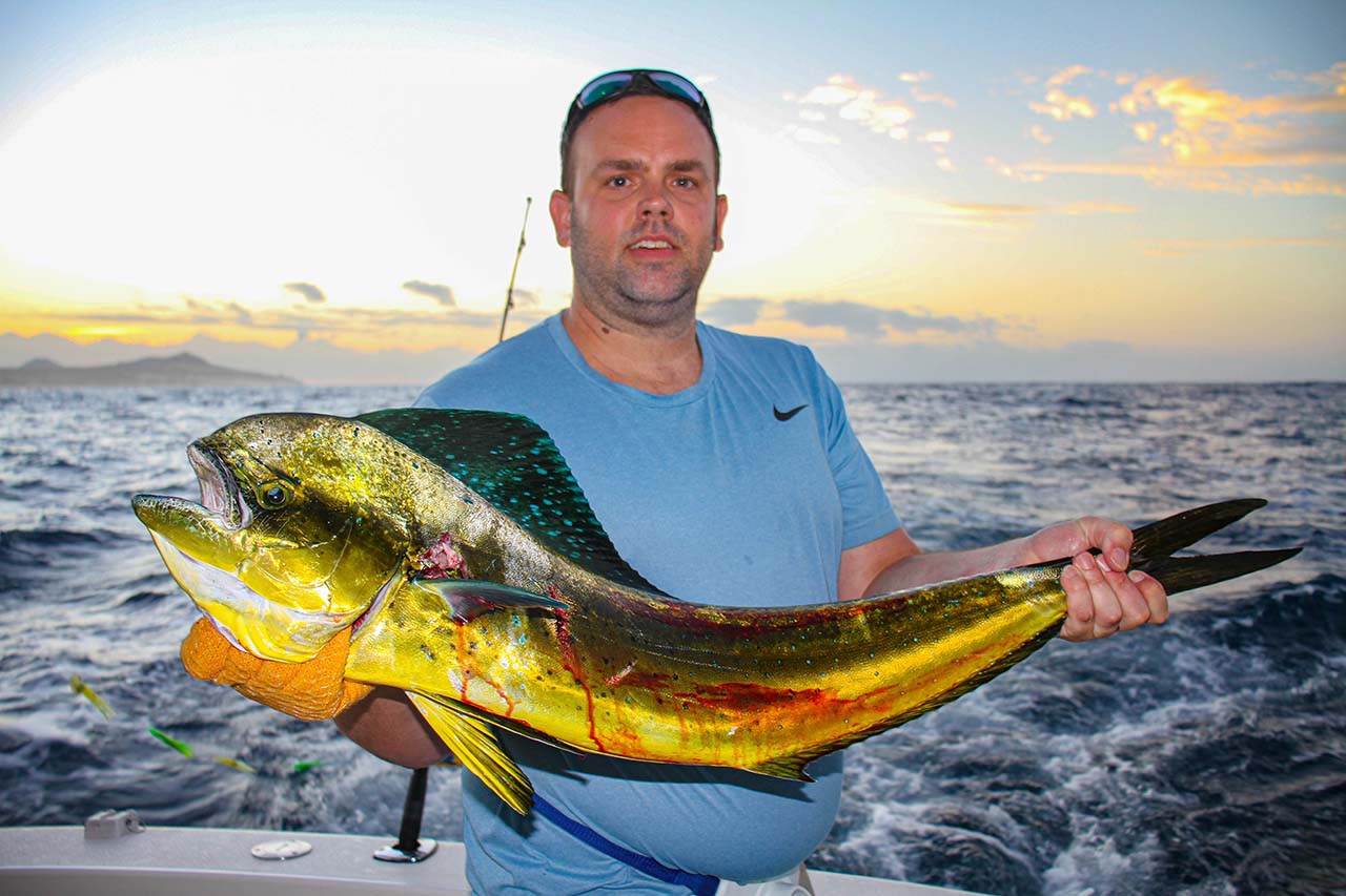 Book Cabo Fishing Charter May Dates