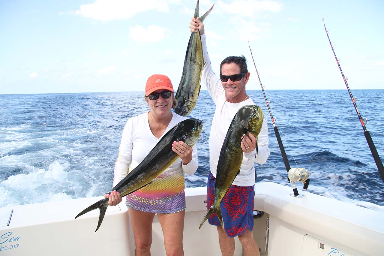 Cabo Dorado Fishing June