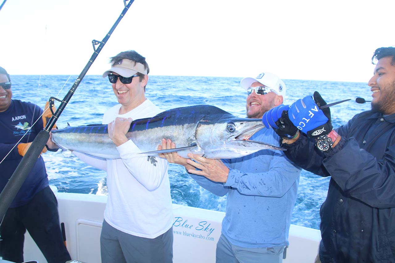 Cabo Fishing Calendar Charter Planning