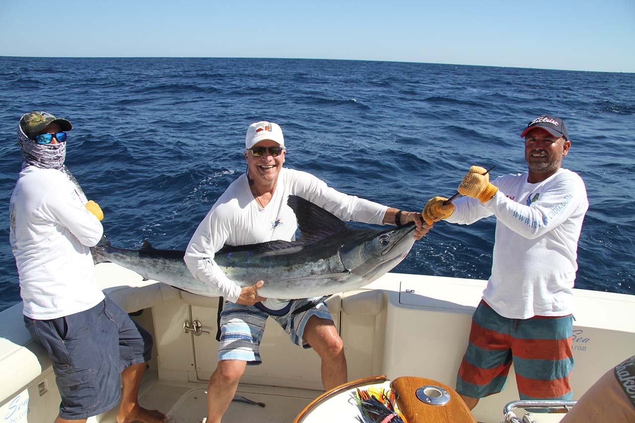 Cabo Fishing Charter May Availability