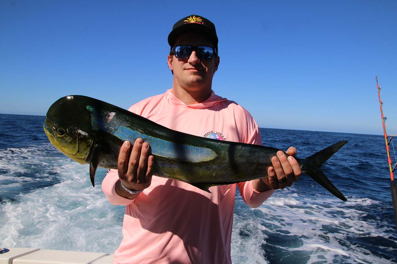 Cabo Fishing Charters June