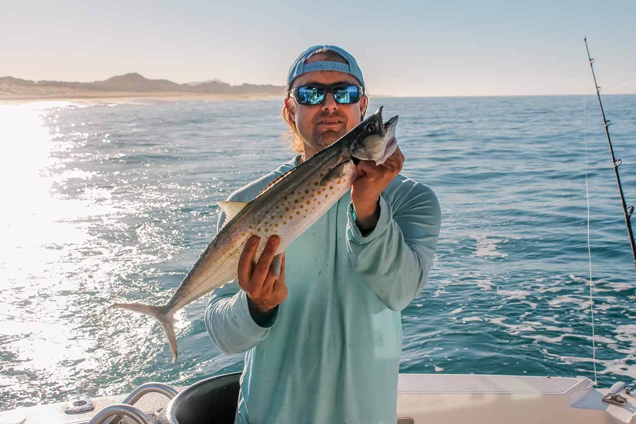Cabo Fishing Charters June