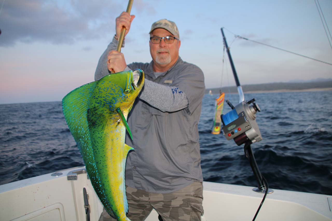 Cabo Fishing Charters Open Dates May