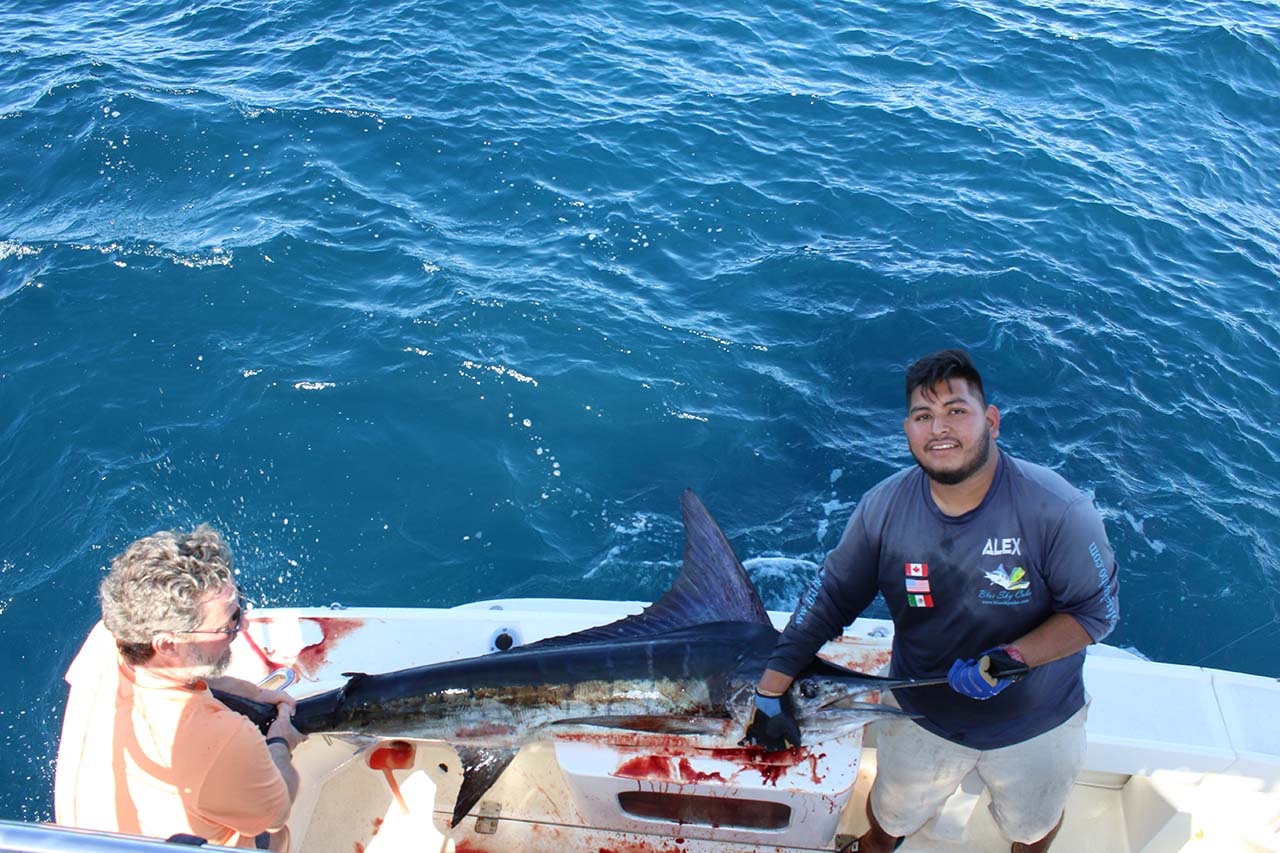 Cabo Fishing Weather in June