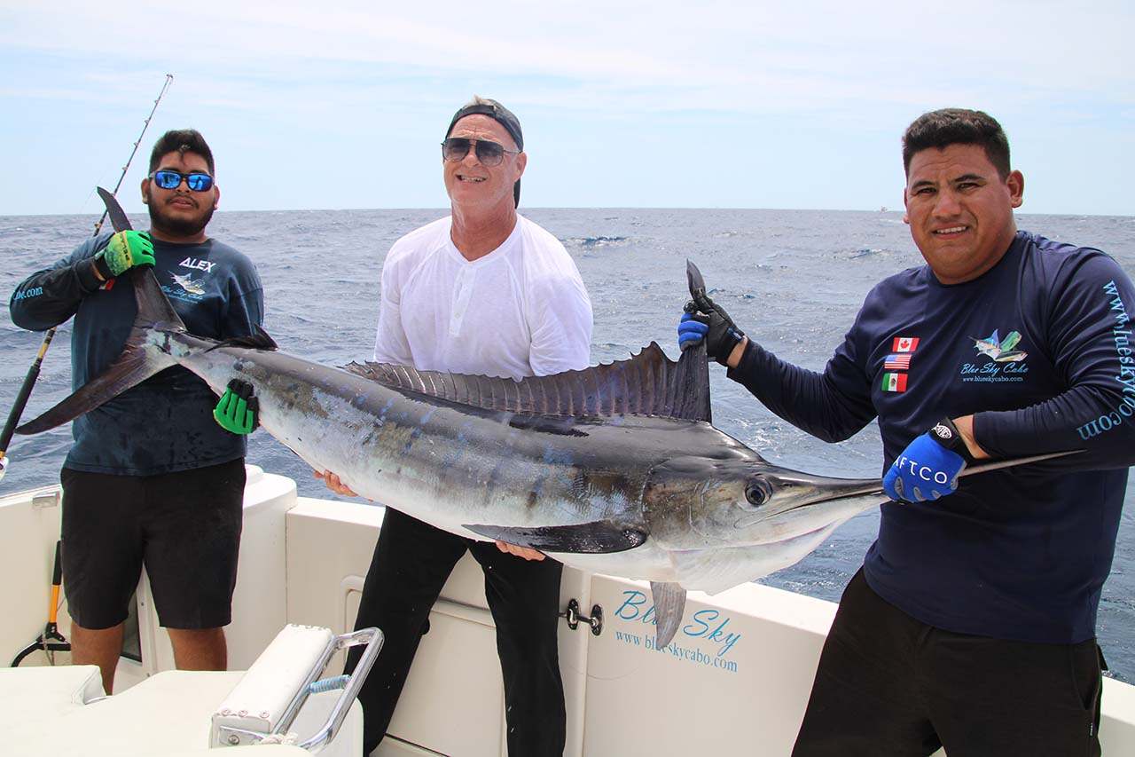Cabo Marlin Fishing June