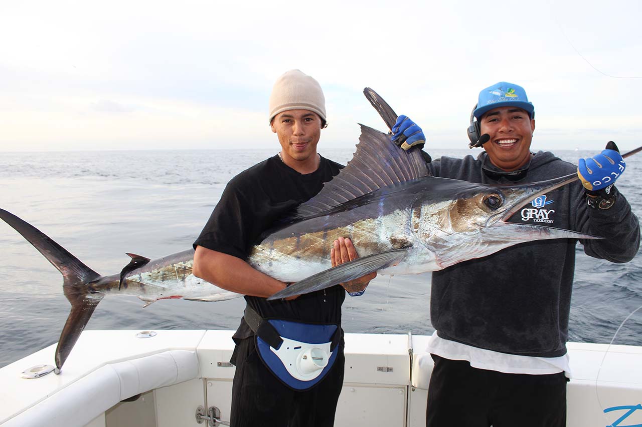 Cabo Marlin Fishing May Charter