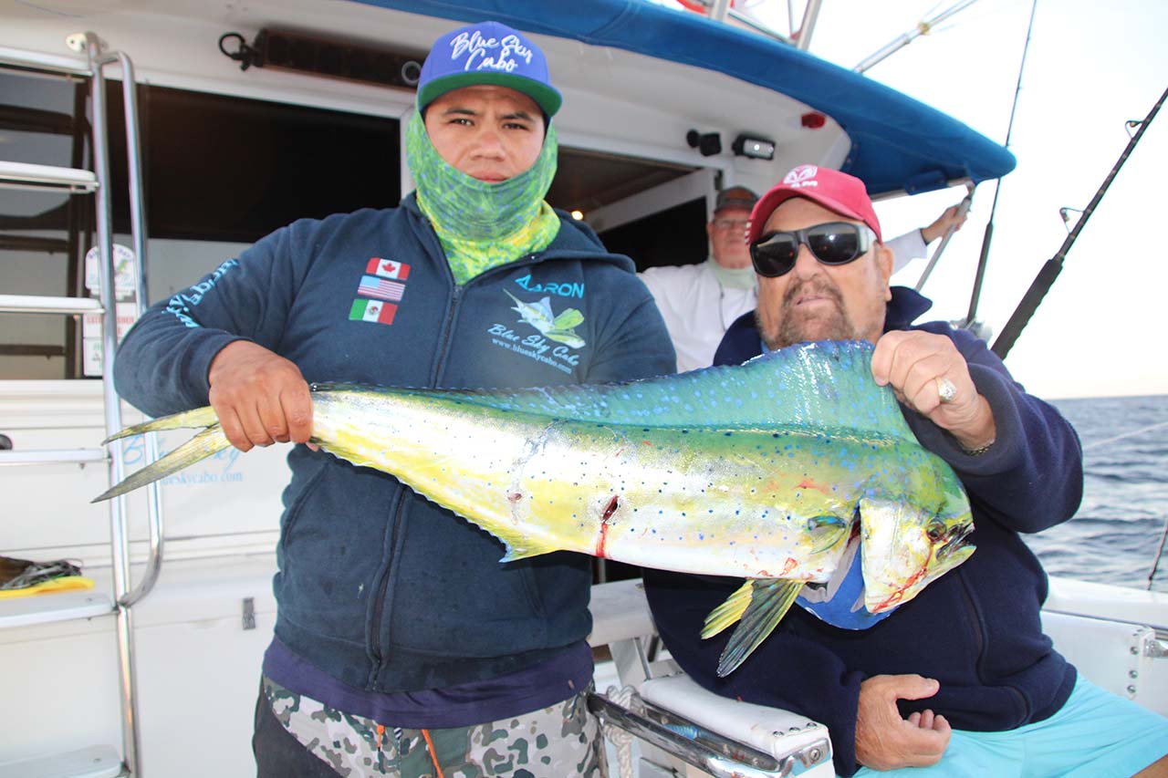 Cabo Offshore Fishing June