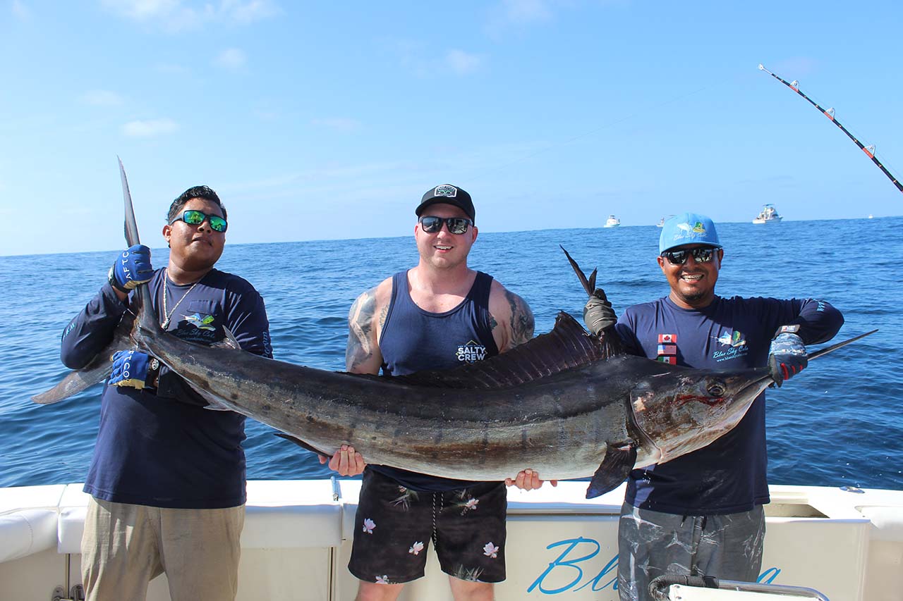 Cabo Offshore Fishing June
