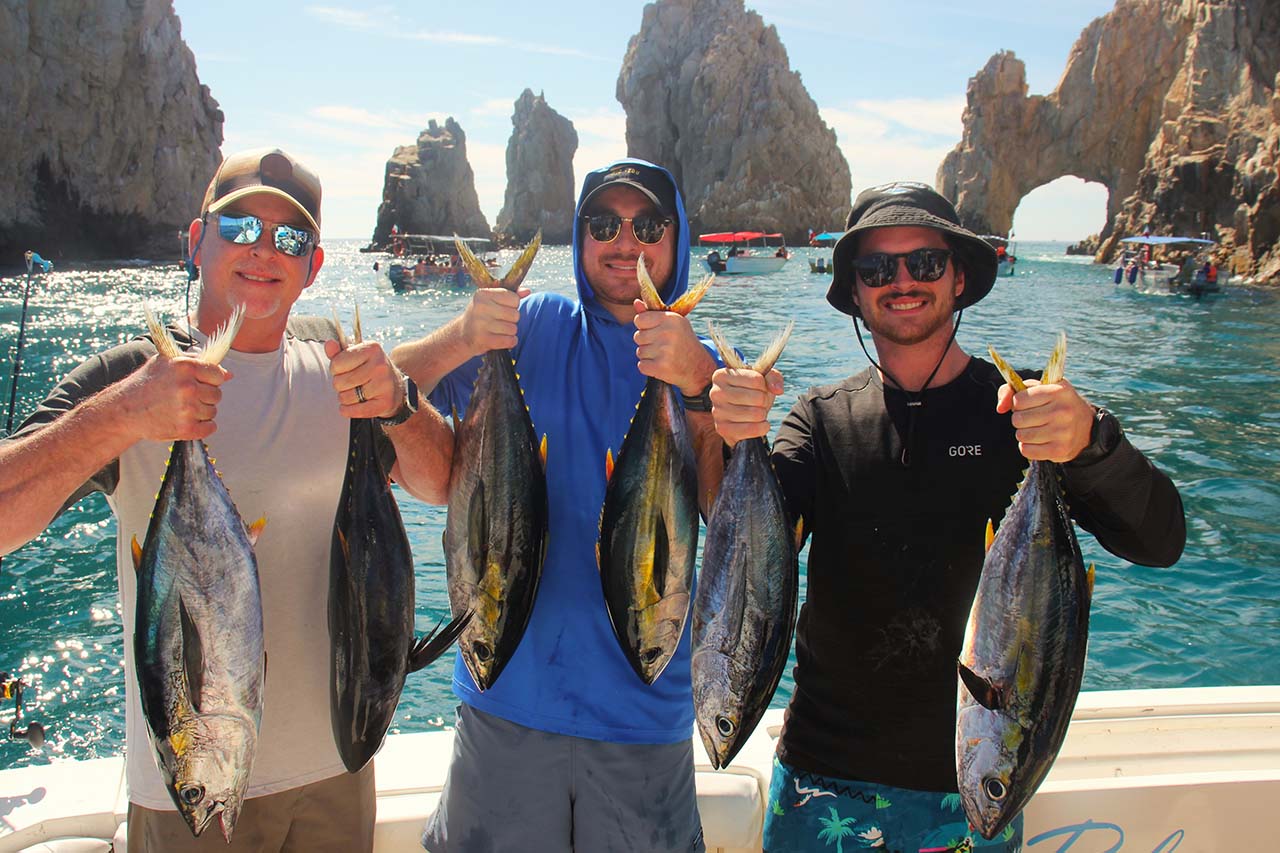 Cabo Tuna Fishing June
