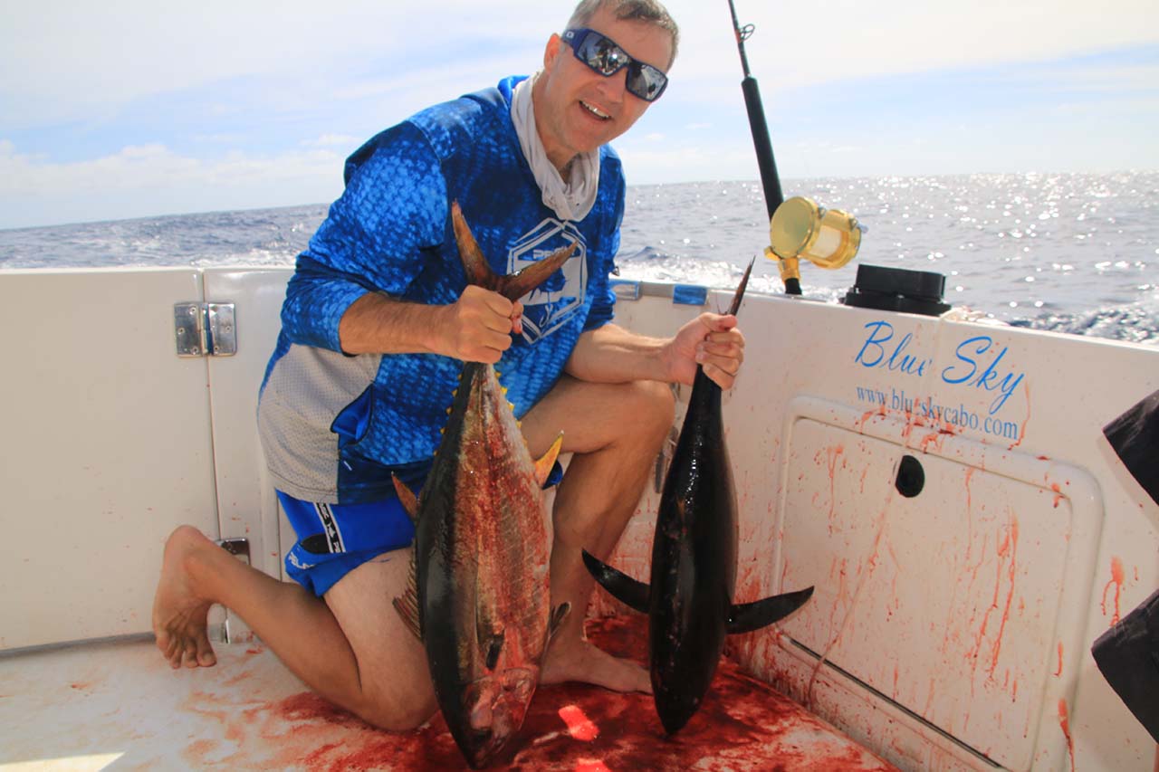 Cabo Tuna Fishing May Charter