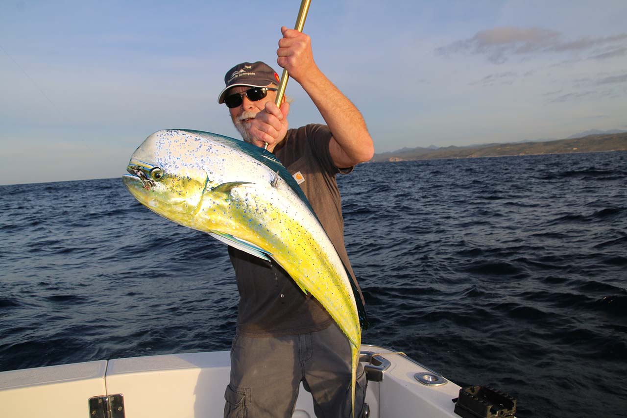 June Fishing Vacation Cabo San Lucas