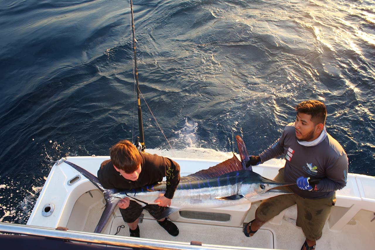 Private Fishing Charter Cabo May Cost