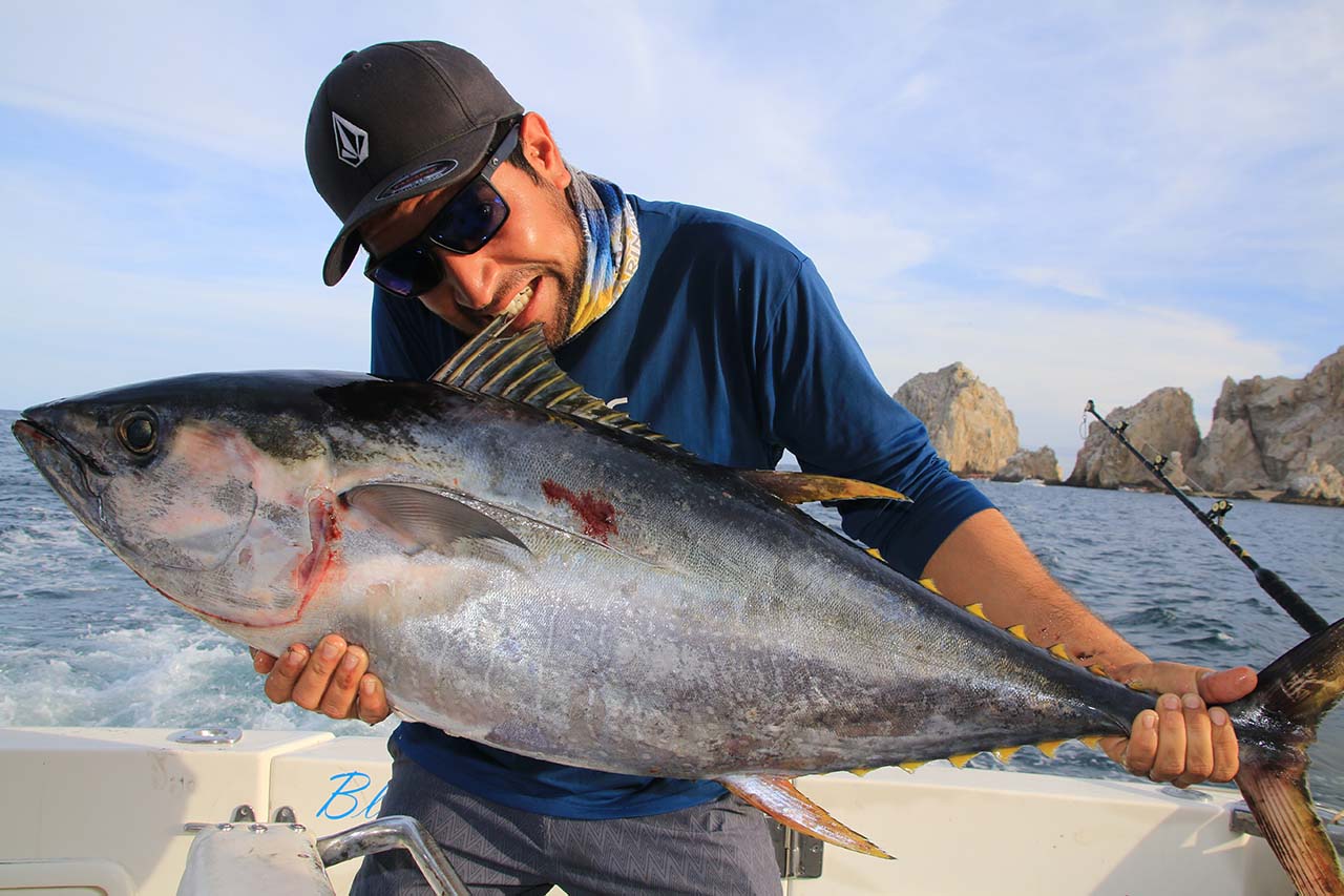 What Fish Are Biting in Cabo in June