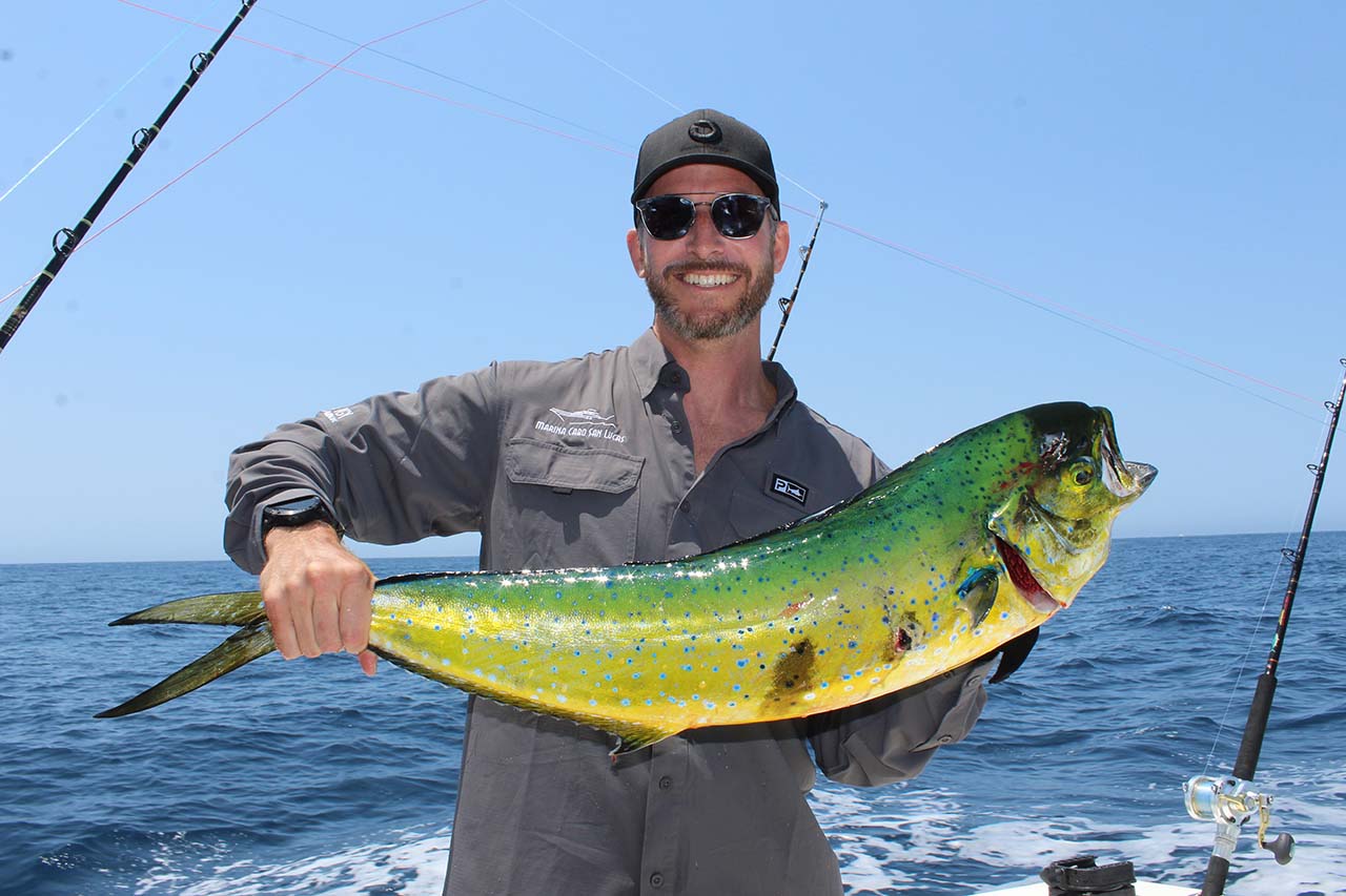 What Kind of Fish Can You Catch in Cabo