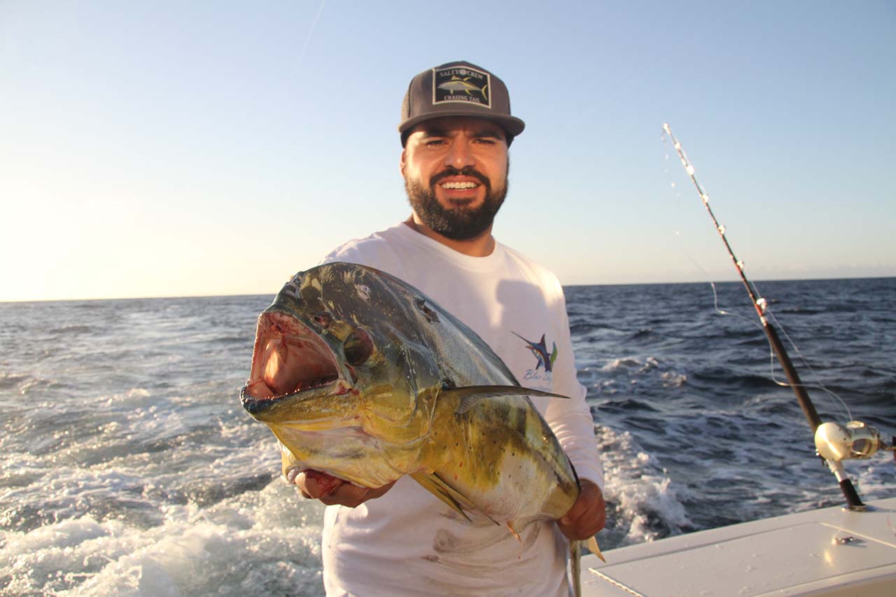 Are Dorado Running in Cabo During July