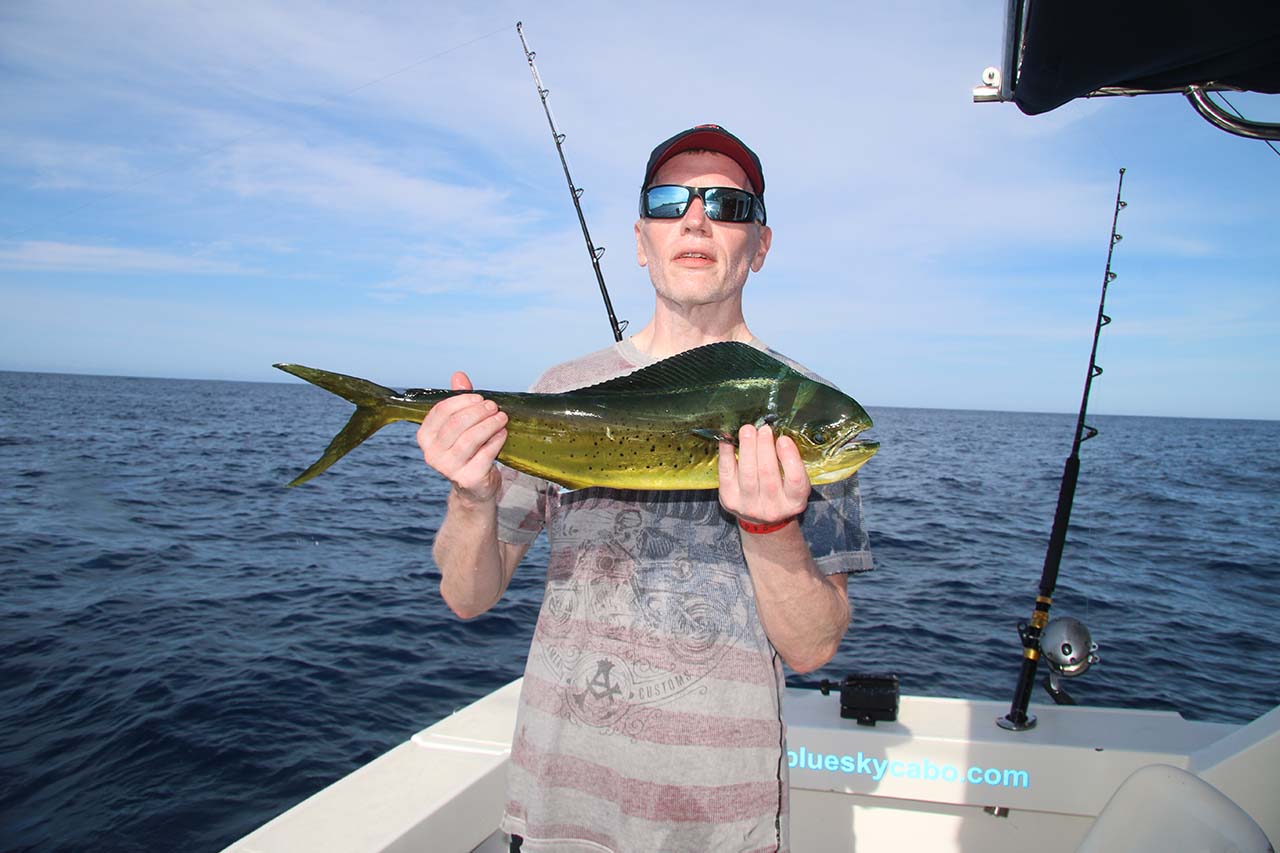 Are Mahi Mahi Running in Cabo during July