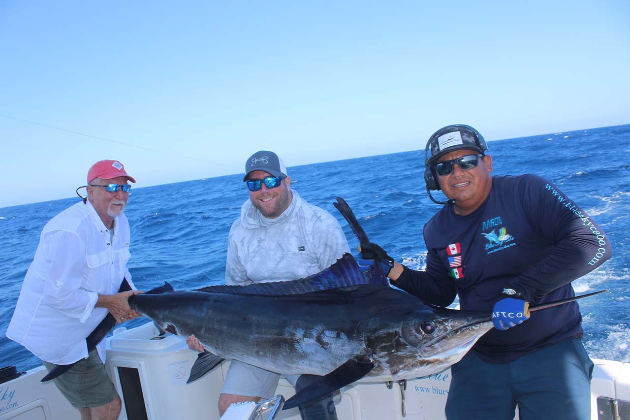 Blue Marlin Fishing Cabo July