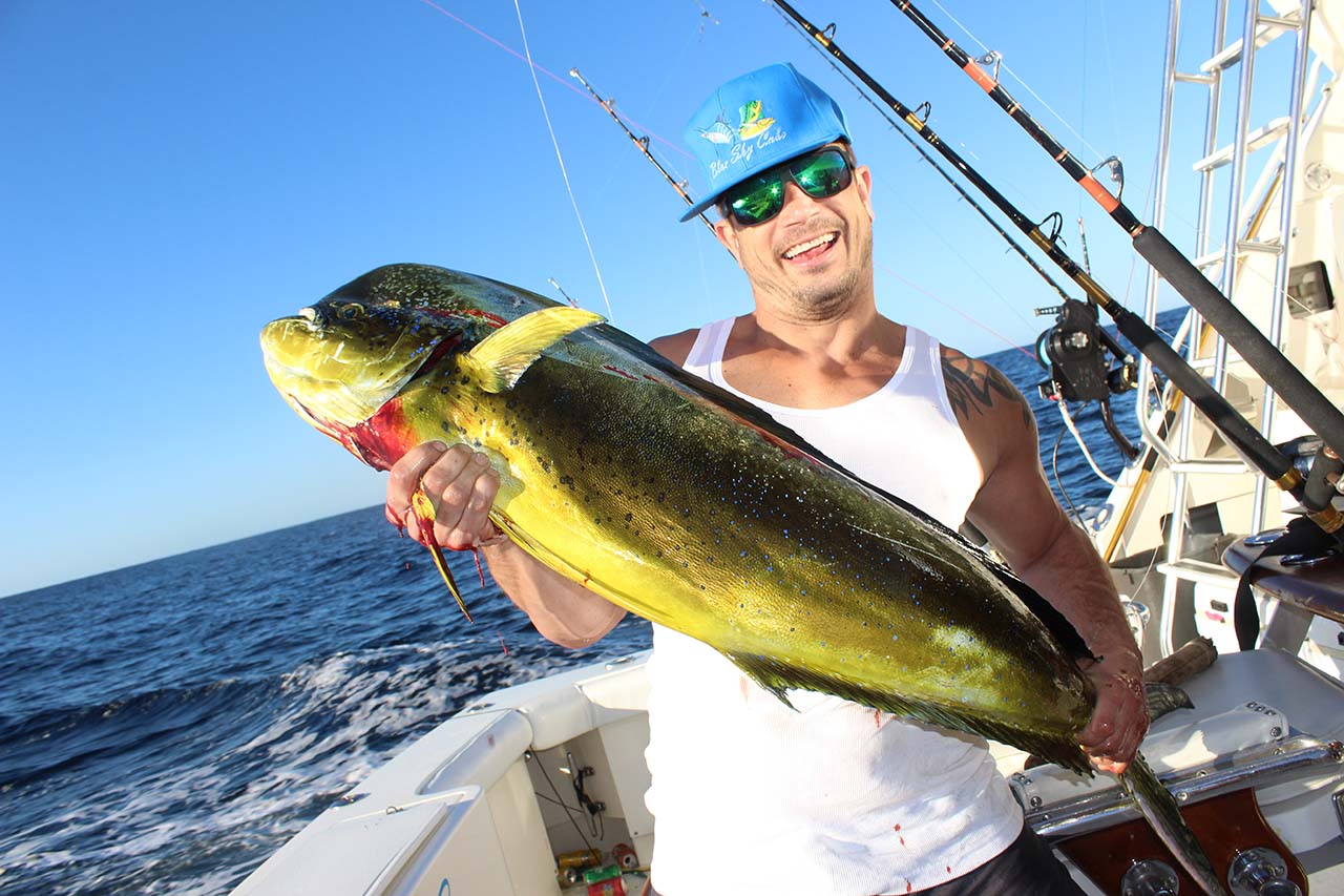 Cabo Dorado Fishing June