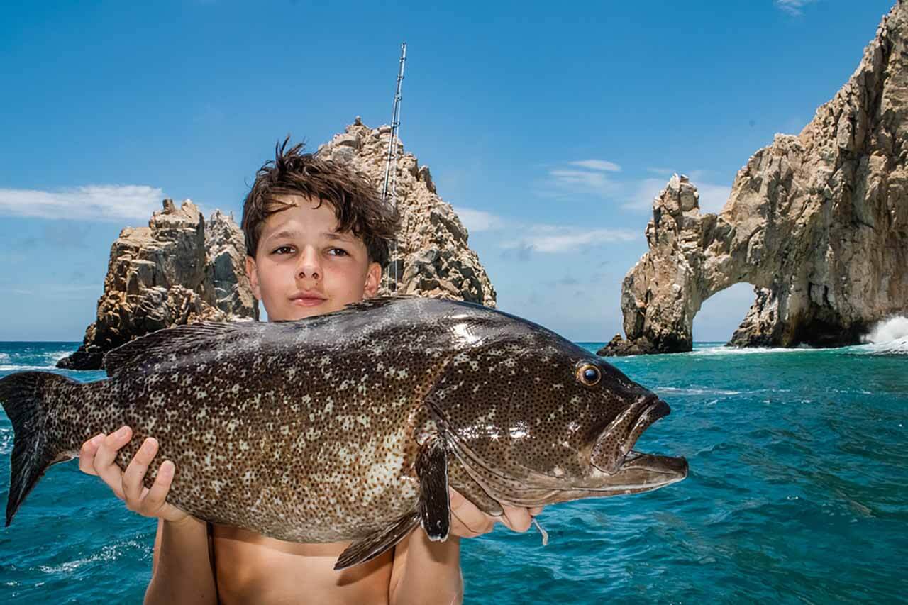 Cabo Fishing Reports Jun 22 2026 (Oleg)