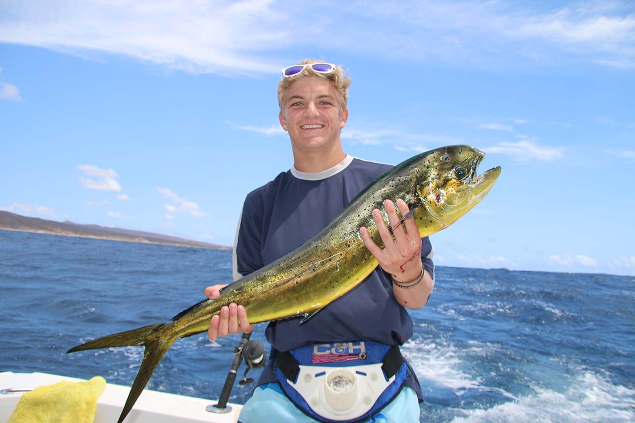 Cabo Mahi Mahi Fishing June