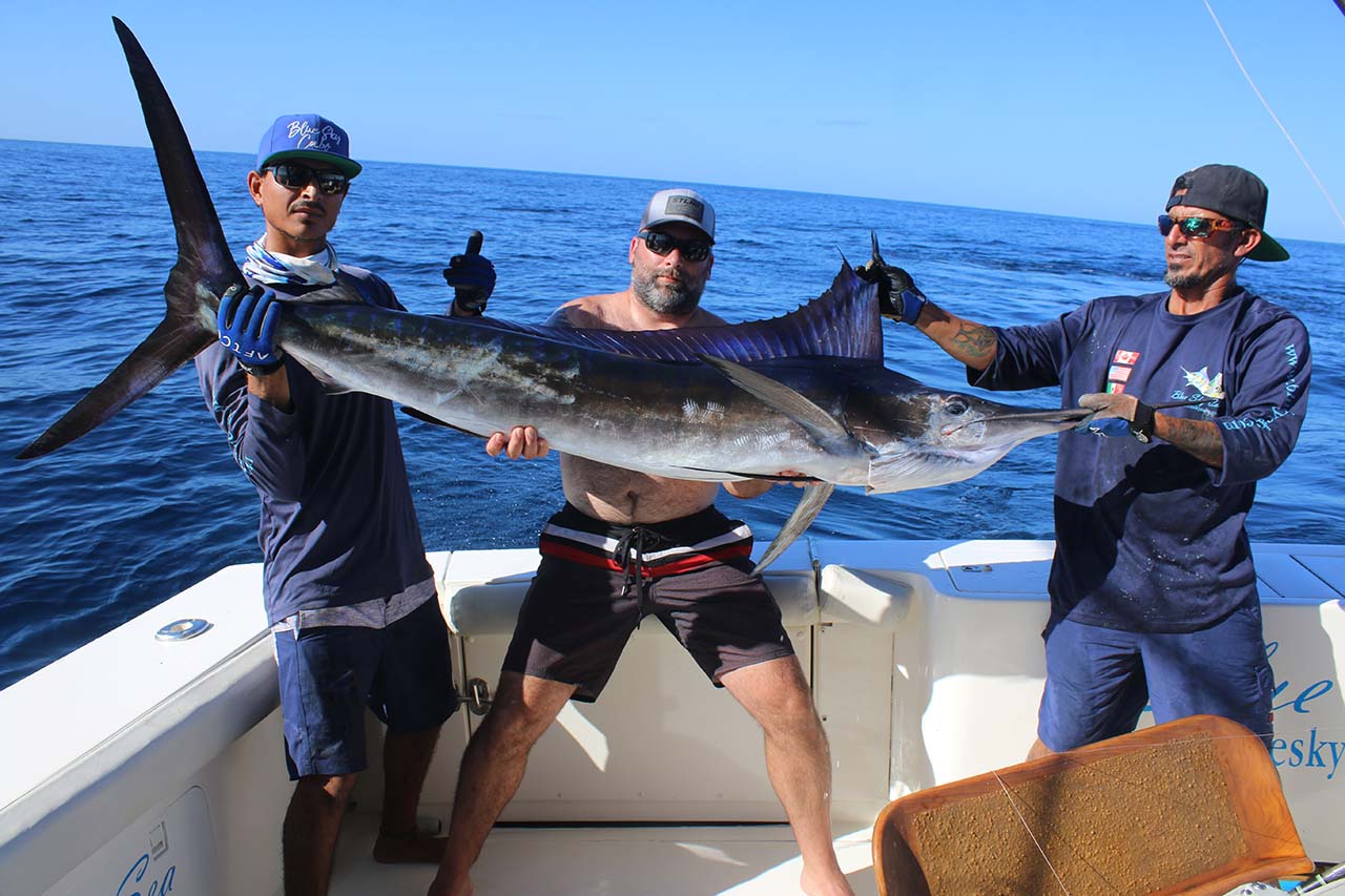 Cabo Sportfishing June Deals