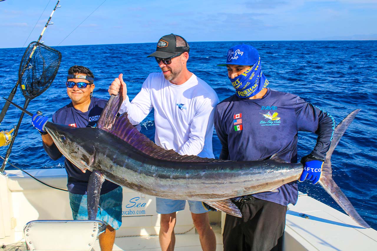 Can Beginners Catch Marlin In Cabo