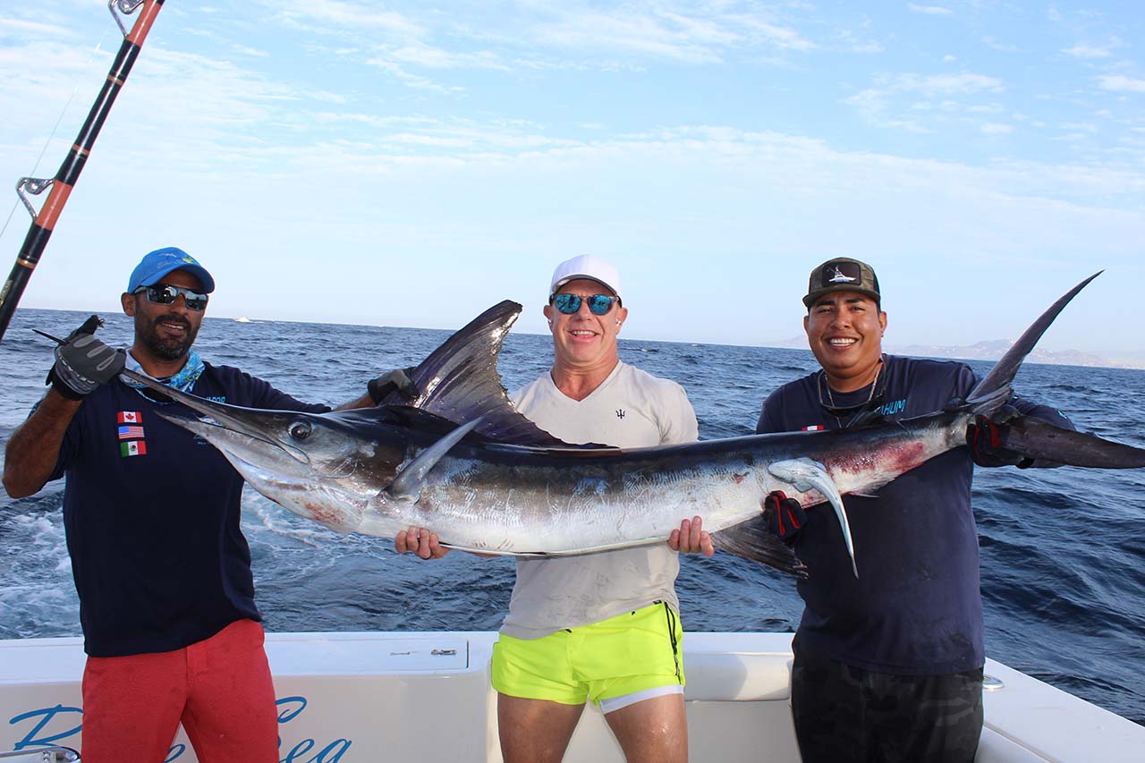 Can You Fish for Marlin in Cabo