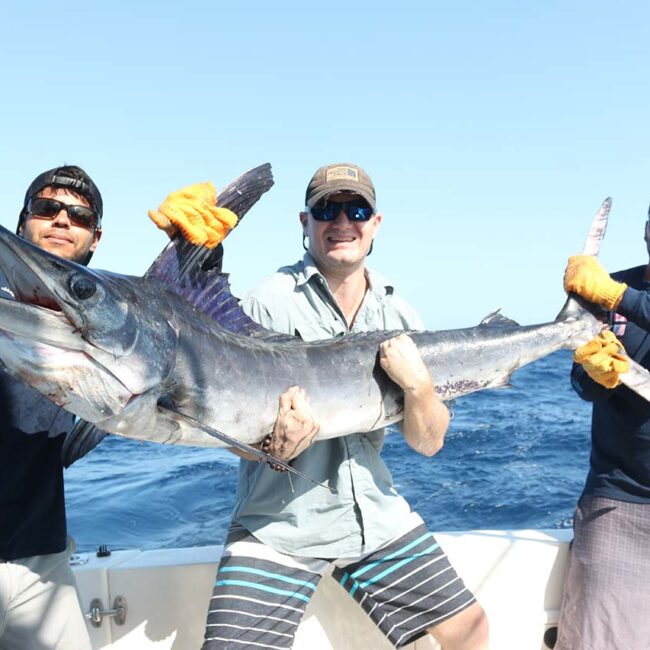 Is July One of the Best Months for Marlin Fishing in Cabo