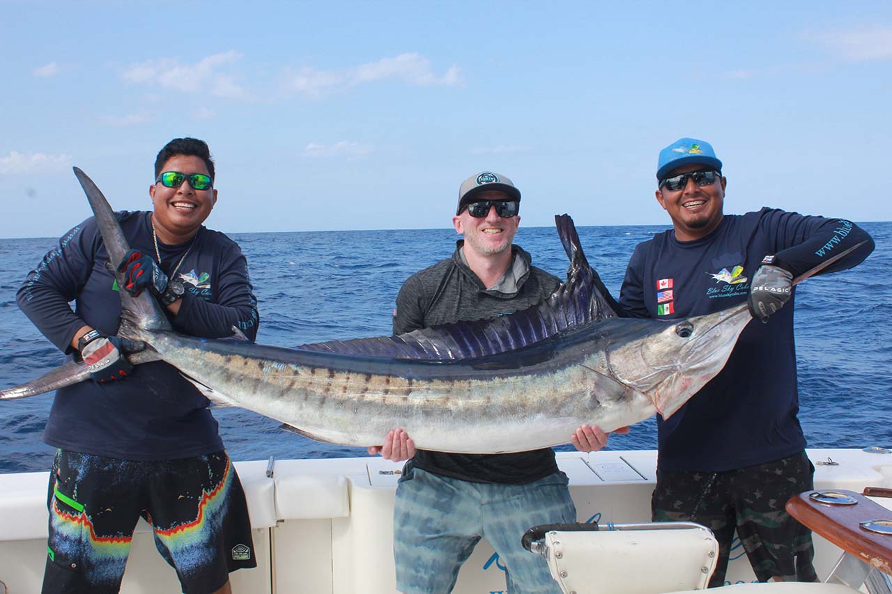 Striped Marlin Fishing Cabo July