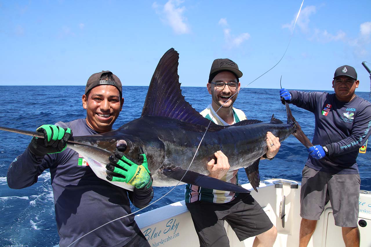 What Are the 3 Types of Marlin in Cabo