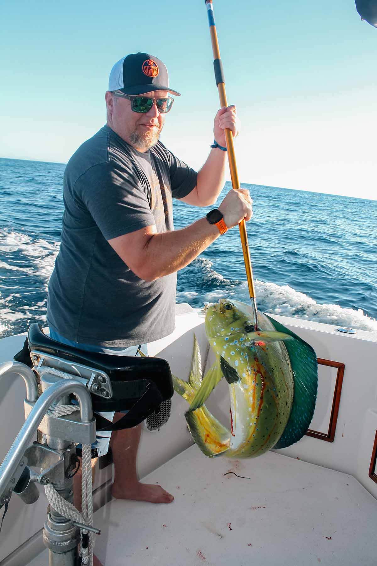 What Is The Best Month To Fish In Cabo