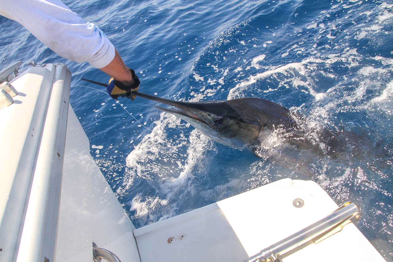 What Is The Weather Like For Fishing In Cabo In July