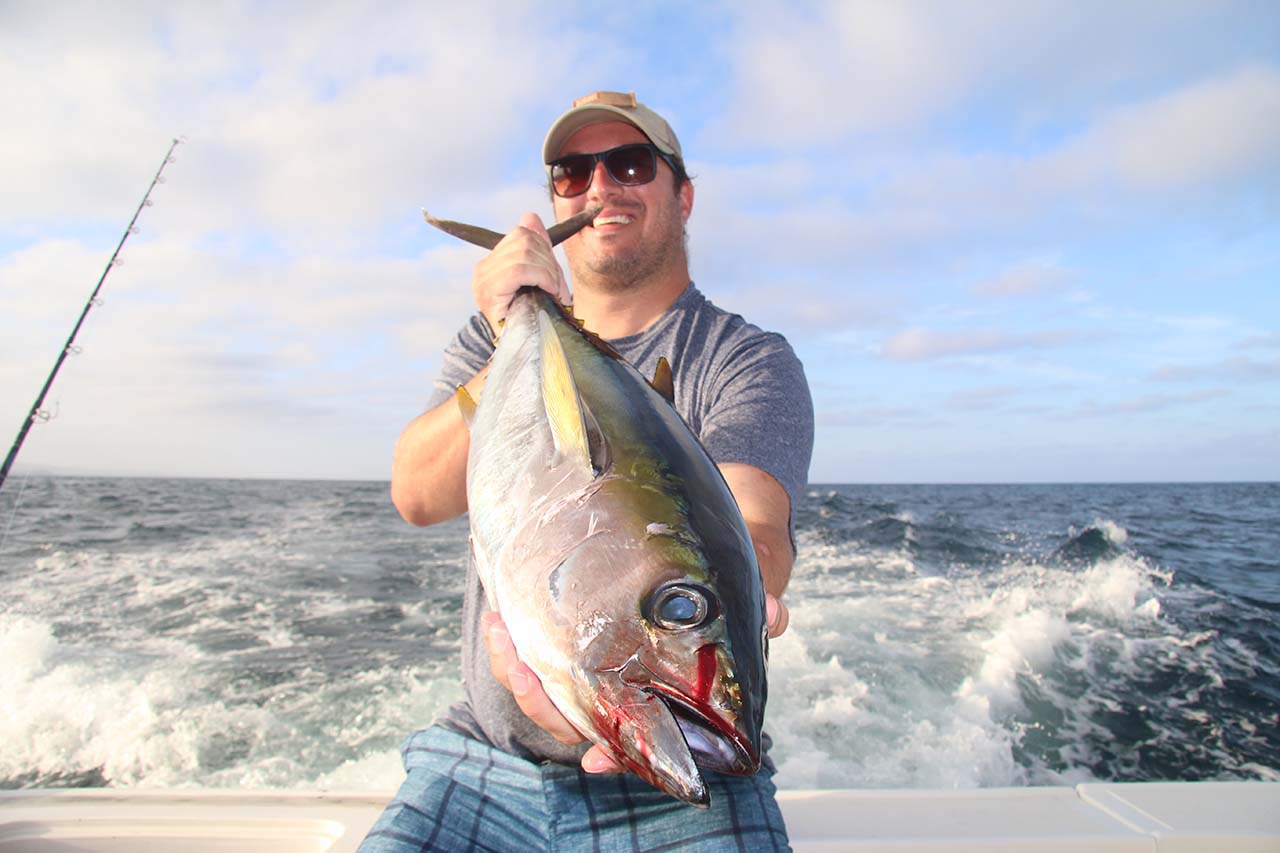When Is Tuna Season in Cabo