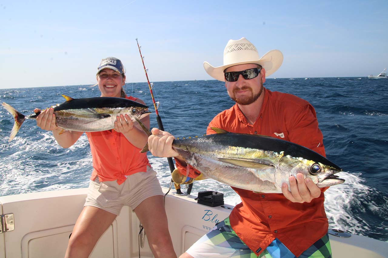Yellowfin Tuna Fishing Cabo July