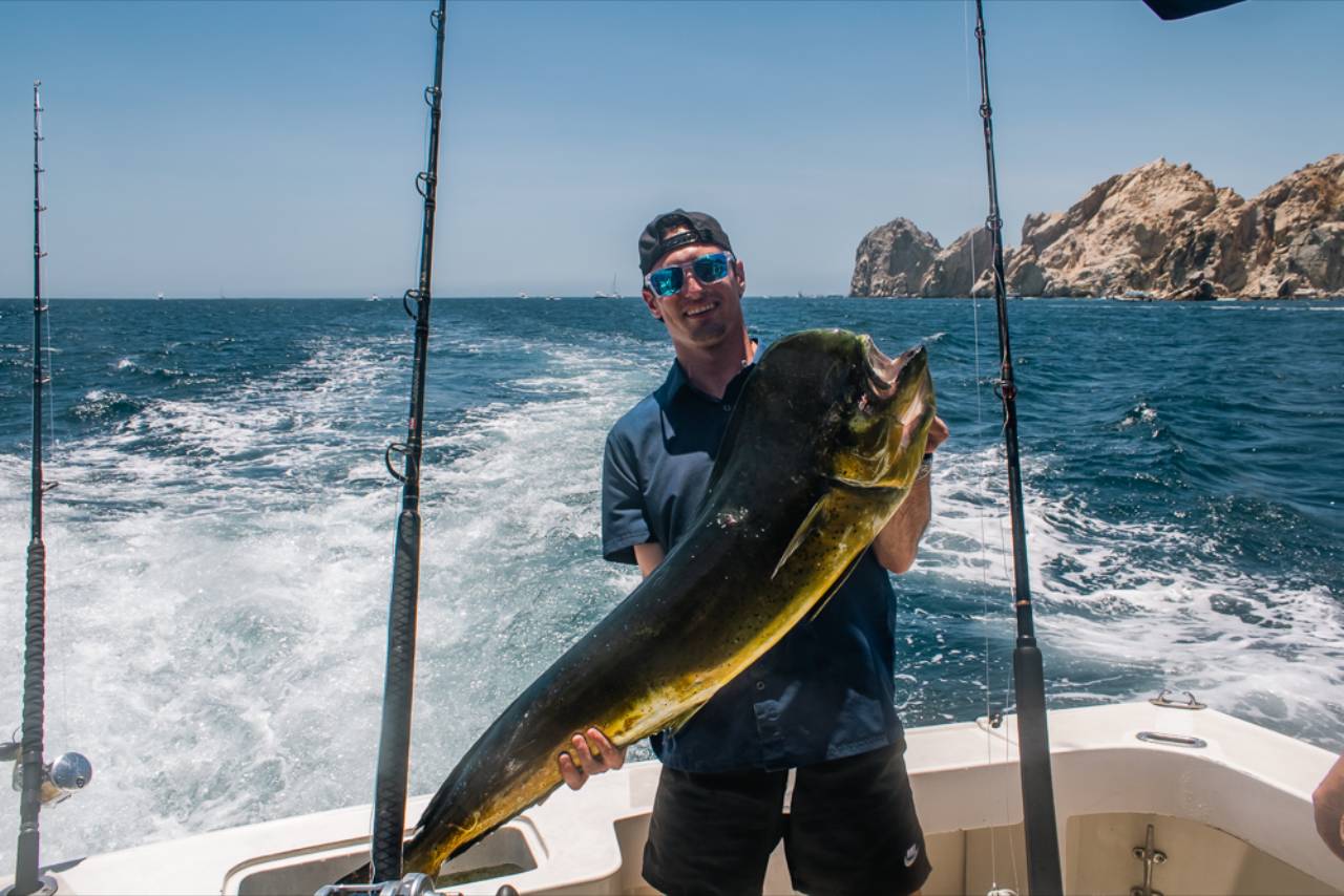 Are Dorado Running in Cabo During July