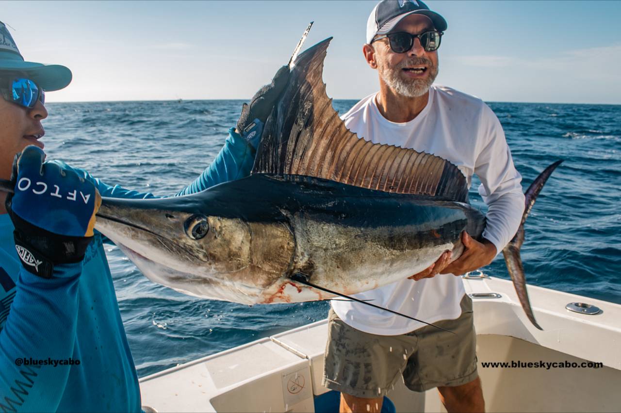 Cabo Fishing Reports July 3 2026