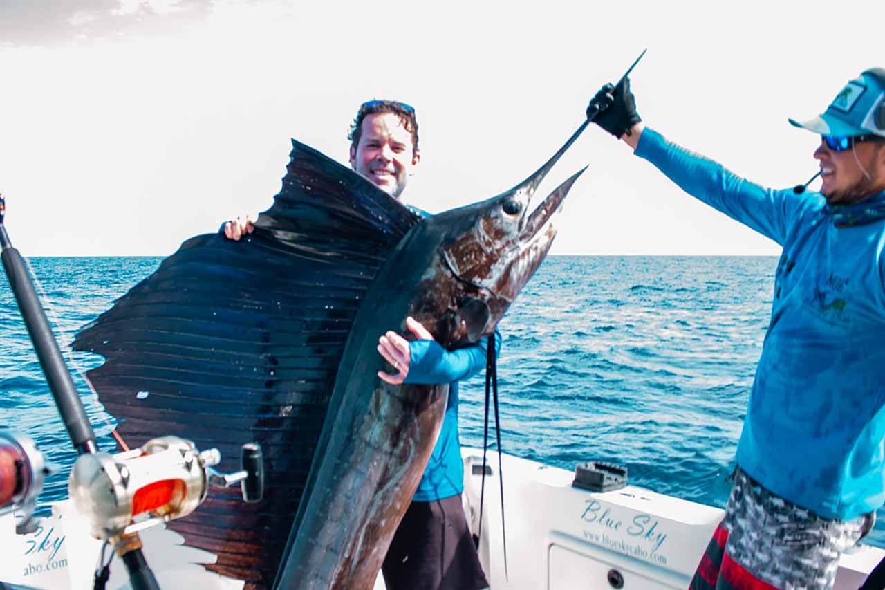 Cabo Fishing Reports June 12 2026