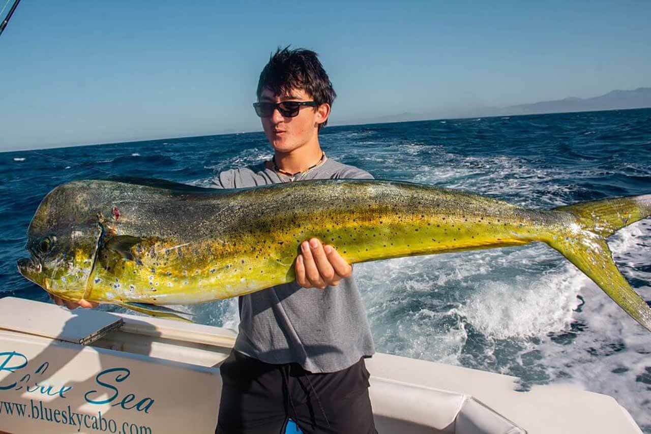 Cabo July Fishing Report