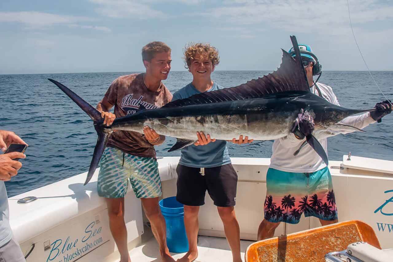 Cabo Striped Marlin Season Fishing